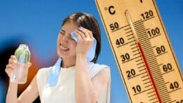 Canicule : voici toutes les aides que vous pouvez recevoir par votre mairie