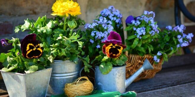 Ces erreurs qui font mourir vos plantes avec la hausse des températures pendant vos vacances d'été