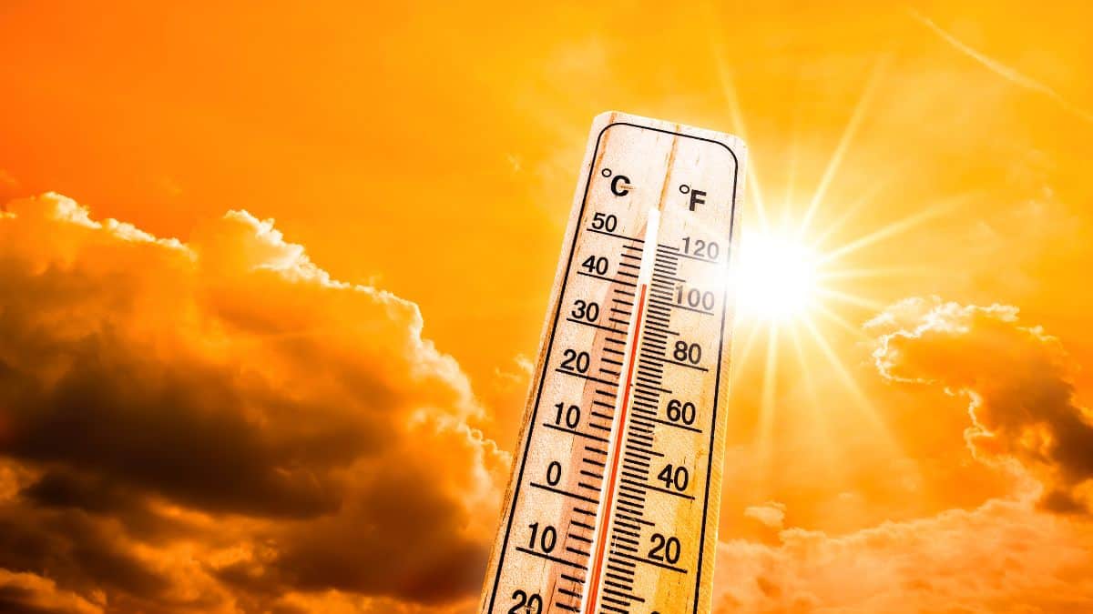 Cette astuce géniale pour faire baisser la température de 5 °C chez