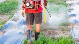 Cette recette de génie pour fabriquer du désherbant puissant avec du sel