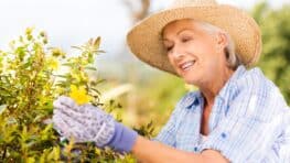 De millions de Français vont devoir faire ça dans leur jardin pour éviter une lourde amende