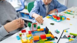 LIDL va faire un énorme carton avec de nombreux sets Lego à petits prix