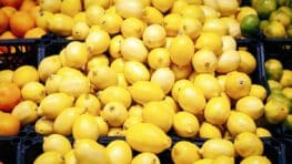 N'achetez plus ces citrons en supermarché s'ils viennent de ces 2 pays, ils sont bourrés de pesticides