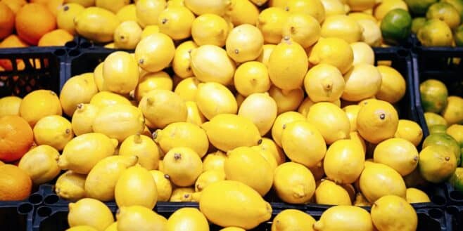 N'achetez plus ces citrons en supermarché s'ils viennent de ces 2 pays, ils sont bourrés de pesticides