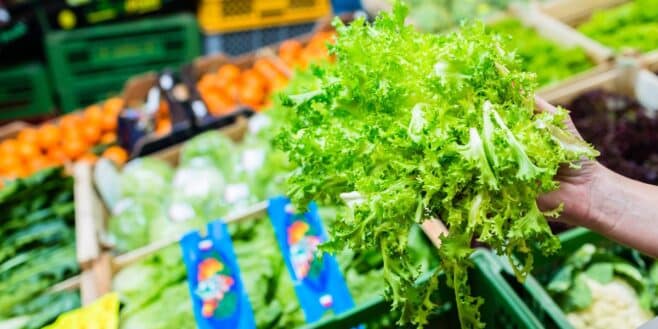 Rappel urgent de ces salades vendus dans les supermarchés Carrefour et contaminées à la Listeria
