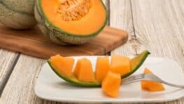 Tous les bienfaits pour la santé et votre corps de manger du melon cet été