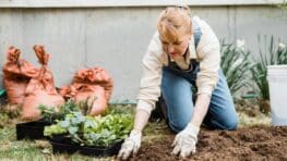 Une lourde amende si vous faites ça dans votre jardin avant la mi-aout 2025