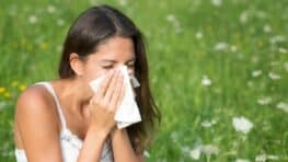 Violent pic de pollen dans toute la France et voici comment vous protéger
