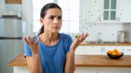 Ce geste simple élimine tous les moucherons en un temps record cet été