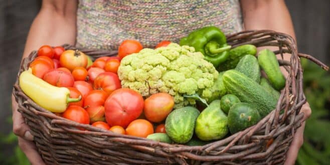 Ce légume très consommé en été à ne jamais mettre au frigo pour garder ses bienfaits pour la santé