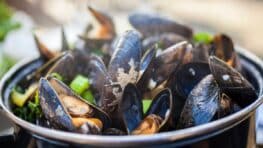 Ces astuces pour bien choisir les moules et les préparer comme un chef