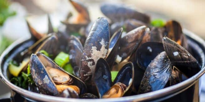 Ces astuces pour bien choisir les moules et les préparer comme un chef