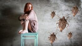 Ces punaises peuvent rapidement envahir votre logement et voici comment s'en débarrasser