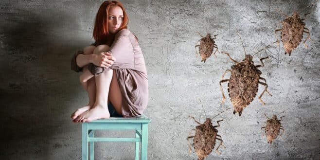 Ces punaises peuvent rapidement envahir votre logement et voici comment s'en débarrasser