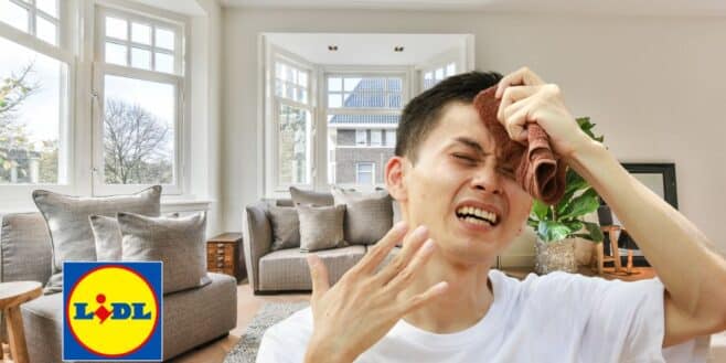 Cette innovation Lidl permet de passer la canicule au frais à moins de 30 euros