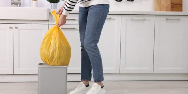 Fini les mouches dans la poubelle, il suffit de deux épices que vous avez déjà chez vous