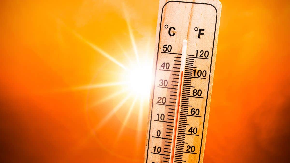 Météo : mauvaise nouvelle une nouvelle vague de chaleur va frapper la ...