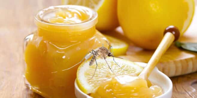 Recyclez un verre non utilisé pour créer cette bougie anti-moustique avec du sel et du citron