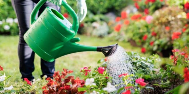Restriction d'eau : attendez-vous à des amendes salées si vous faites cela