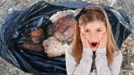 Une fillette ramène une pierre comme souvenir de la plage, sa mère s'aperçoit ensuite que c'est en réalité une grenade