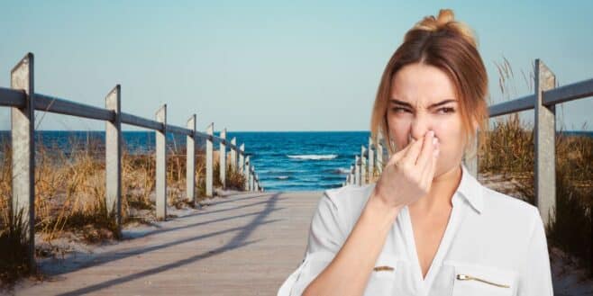 Vacances d'été: ces plages françaises sont contaminées par des bactéries fécales