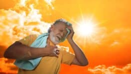 Canicule : des températures au dessus des 40 degrés cette semaine dans ces régions en France