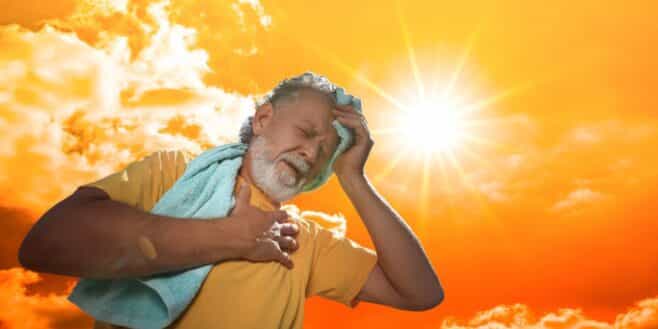 Canicule : des températures au dessus des 40 degrés cette semaine dans ces régions en France