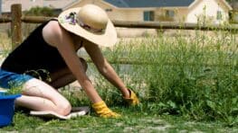 Ce produit indispensable dans toutes les cuisines permet d'enlever toutes les mauvaises herbes