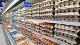 Ces supermarchés vendent des œufs qui contiennent des antibiotiques interdits