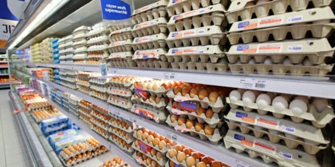 Ces supermarchés vendent des œufs qui contiennent des antibiotiques interdits
