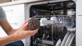 Cette astuce avec une éponge en inox transforme l’efficacité de votre lave-vaisselle