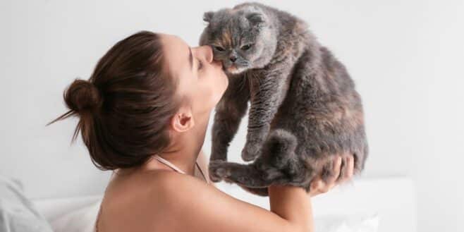 Cette décision radicale que beaucoup de propriétaires de chat sont obligés de prendre cet été