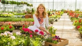 Cette technique incroyable pour protéger vos plantes de la chaleur en seulement 5 minutes par jour