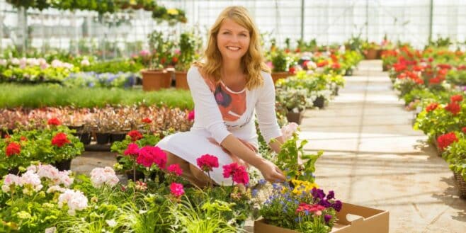 Cette technique incroyable pour protéger vos plantes de la chaleur en seulement 5 minutes par jour