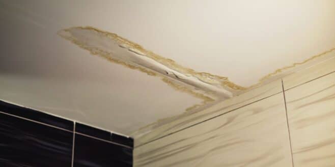 Des centaines d’euros économisés avec cette astuce de pro pour faire disparaître les fissures au plafond