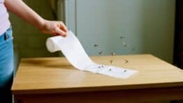 Faire fuir tous les moustiques avec une seule feuille de papier toilette grâce à cette astuce de grand-mère