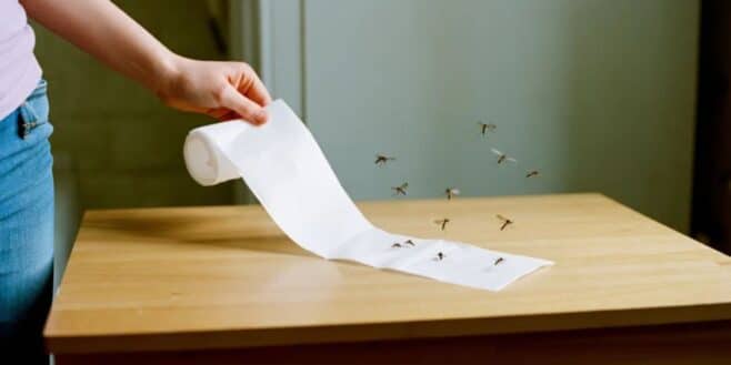 Faire fuir tous les moustiques avec une seule feuille de papier toilette grâce à cette astuce de grand-mère