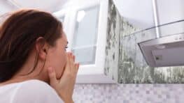 Humidité et moisissures : qui du propriétaire ou du locataire est responsable ?