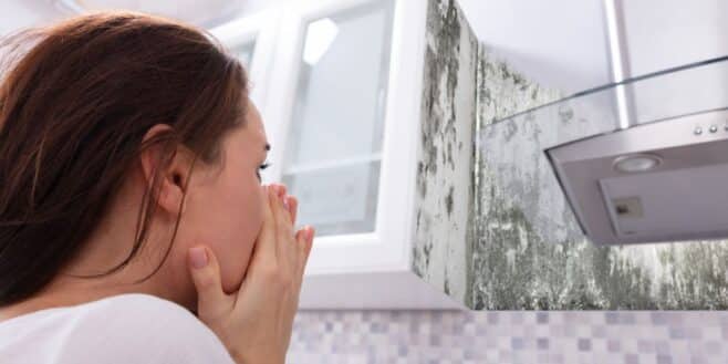 Humidité et moisissures : qui du propriétaire ou du locataire est responsable ?