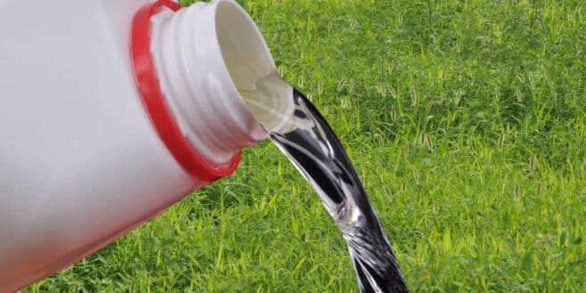 Jardiniers : pourquoi utiliser de l’eau de Javel pour désherber est une grosse erreur