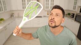 « Je l’ai mangé sans réfléchir » : ce qu’il faut savoir si une mouche a touché votre nourriture