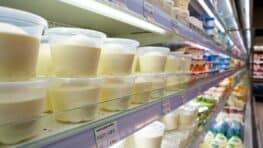 « Je n’aurais jamais cru qu’elle coûtait si peu » : cette mozzarella à moins de 2 € est la meilleure selon 60 Millions de consommateurs