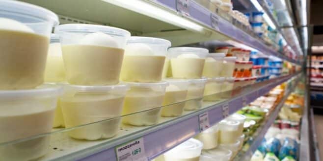 « Je n’aurais jamais cru qu’elle coûtait si peu » : cette mozzarella à moins de 2 € est la meilleure selon 60 Millions de consommateurs