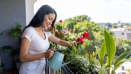 « Je pensais qu’il était trop tard » : ce qu’on peut encore planter au balcon en août