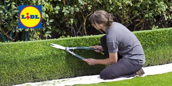 LIDL lance trois pépites à prix cassés pour votre jardin et il faut se dépêcher