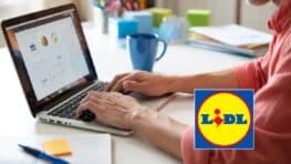 LIDL : toutes les astuces pour décrocher un entretien et un job