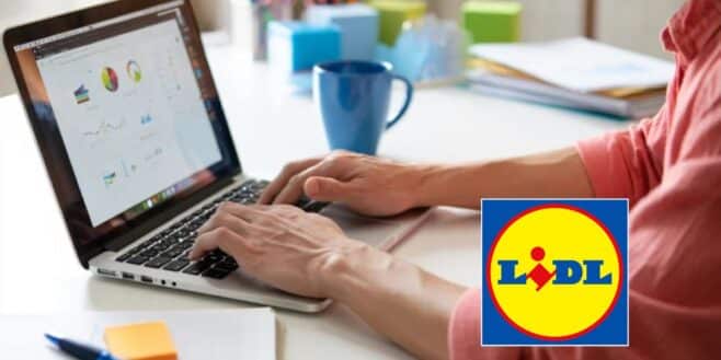 LIDL : toutes les astuces pour décrocher un entretien et un job