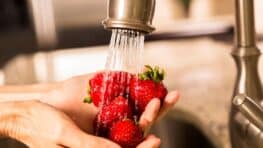La seule et unique façon d'éliminer les pesticides des fraises
