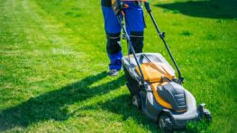 La tondeuse à gazon c'est fini avec ce produit LIDL qui va s'occuper de votre jardin à votre place