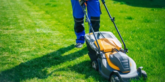 La tondeuse à gazon c'est fini avec ce produit LIDL qui va s'occuper de votre jardin à votre place